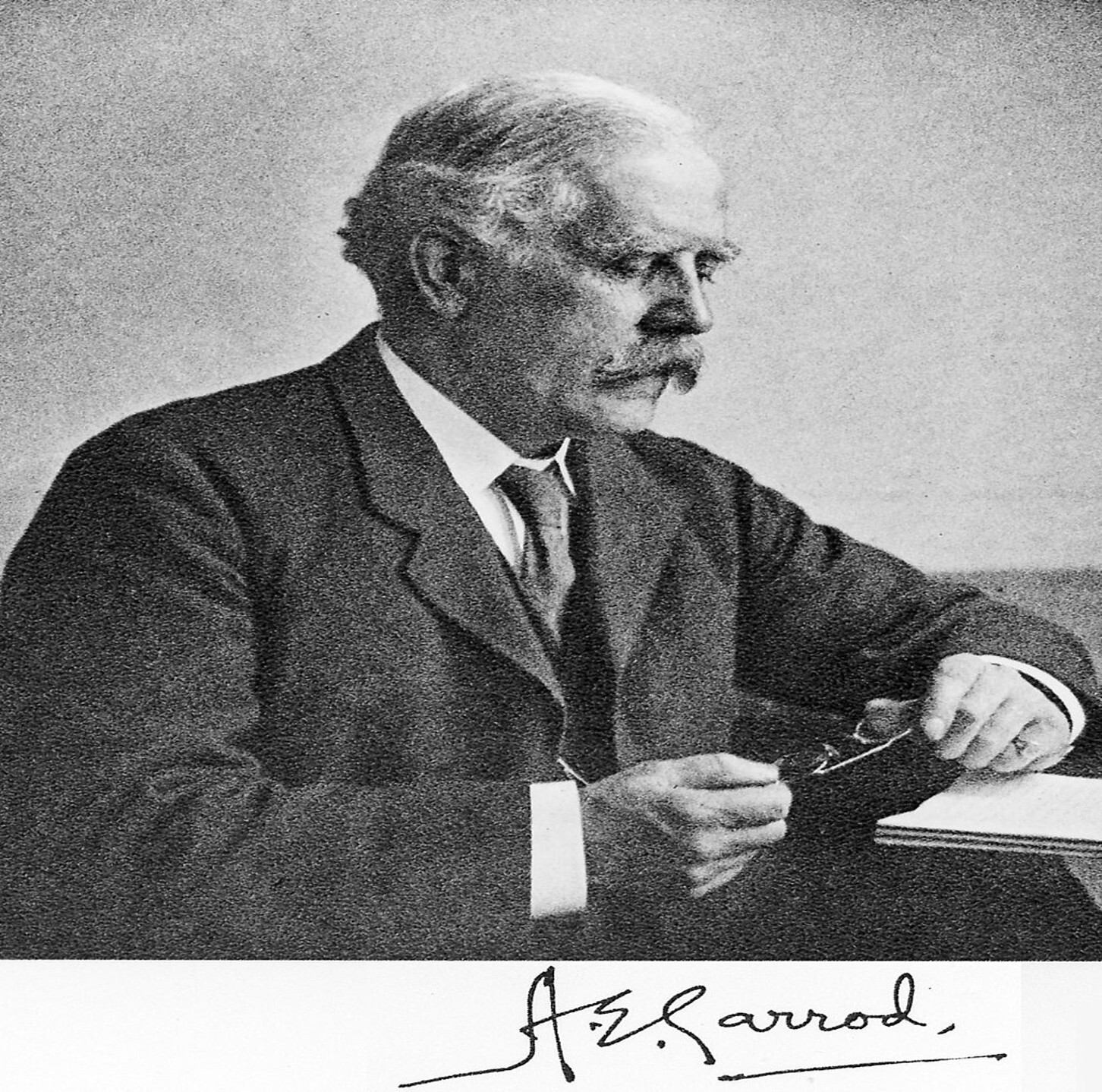 AE Garrod AE Garrod