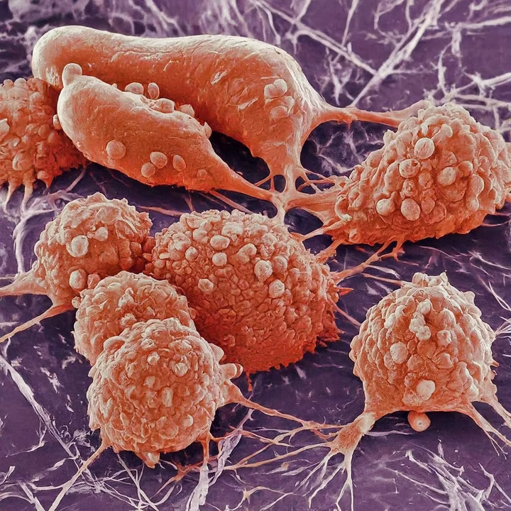 0398bb_74b64ea14fda440ab545aa09155b4c27~mv2